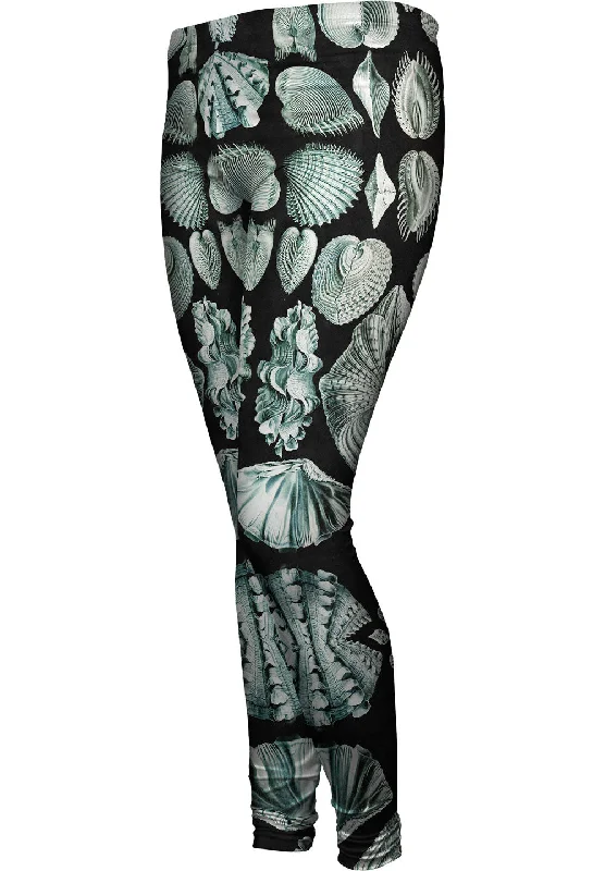 Exquisite Design Ernst Haeckel - "Haeckel Acephala" (1904)